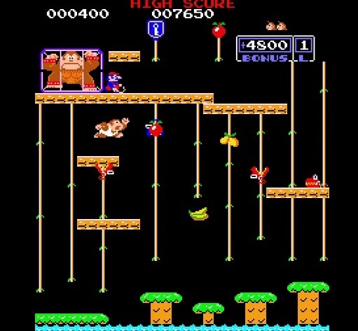 Donkey Kong Junior